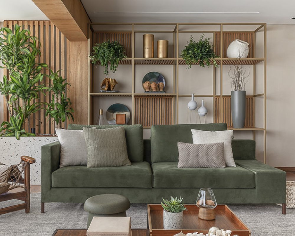 Imagem ilustrativa Ludolf 47