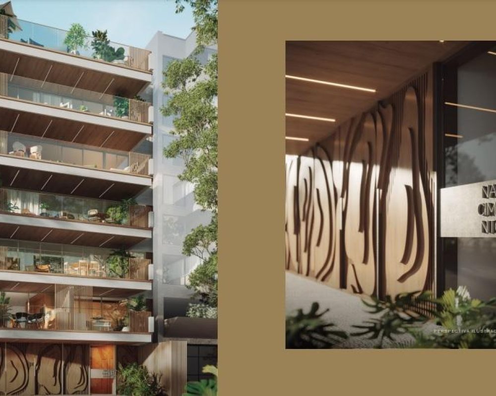 Lançamento Nascimento Silva 245 Piimo