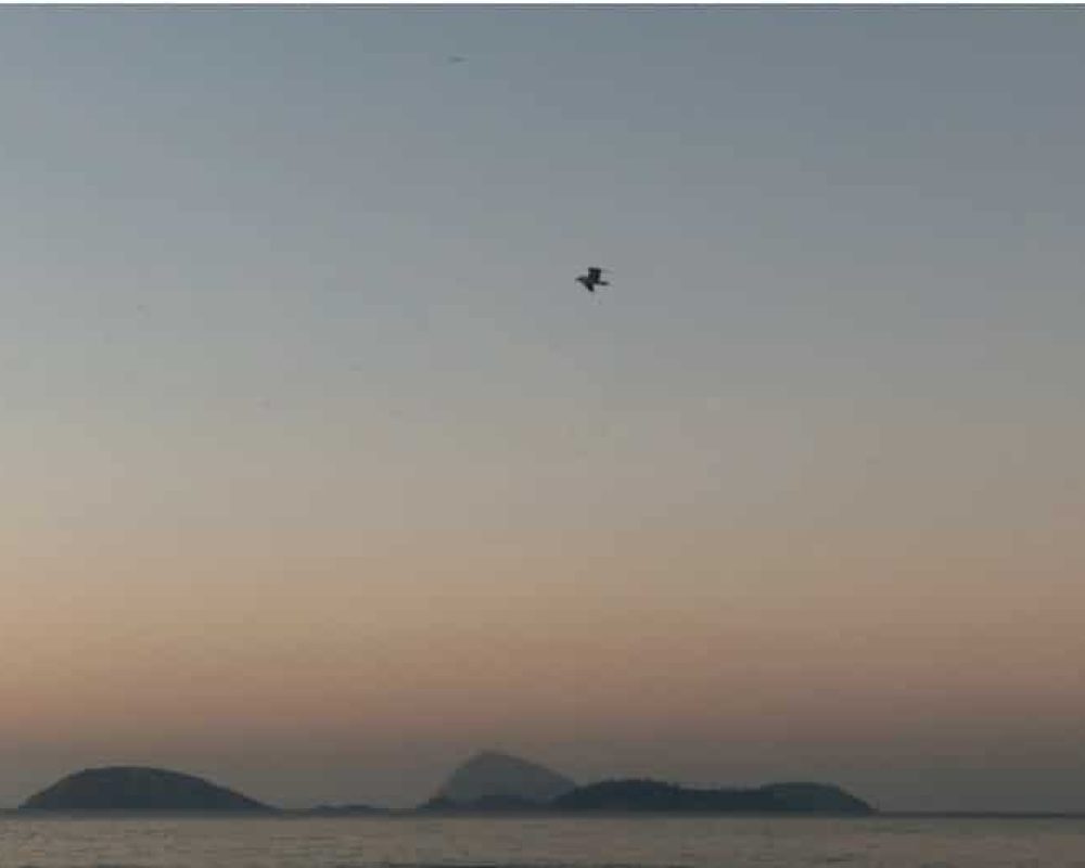 Oui Ipanema Studios Lançamento Sig na Visconde de Pirajá