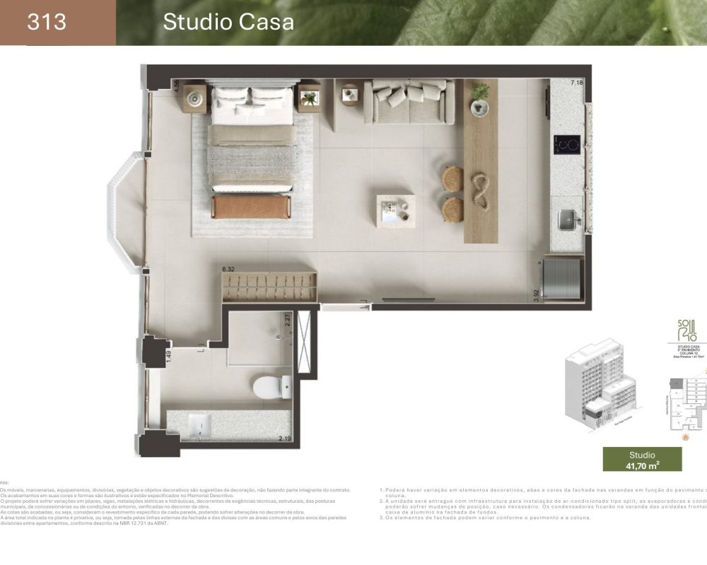 Planta-gago-coutinho-13