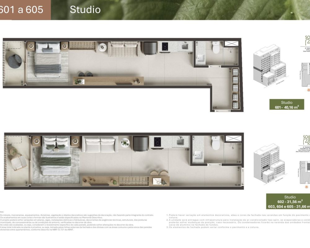 Planta-gago-coutinho-17