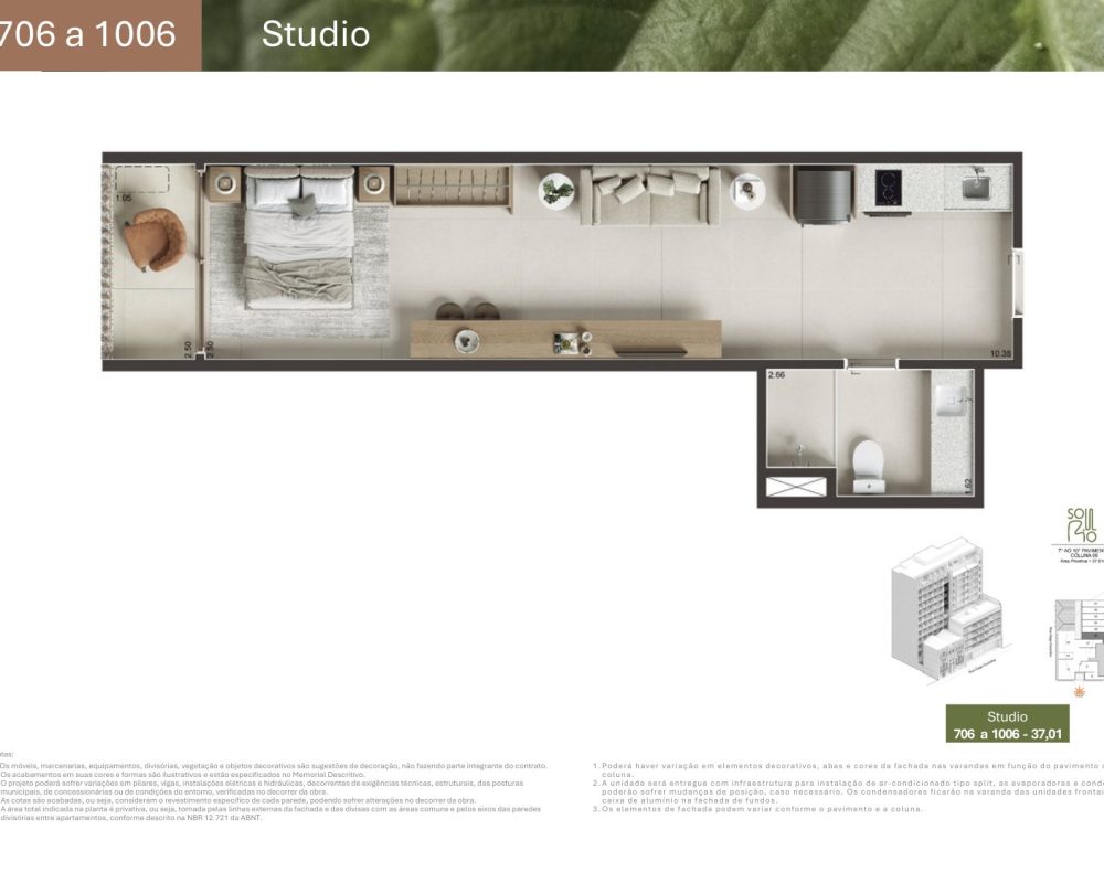 Planta-gago-coutinho-20