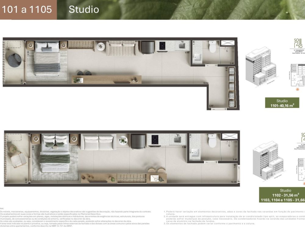 Planta-gago-coutinho-23