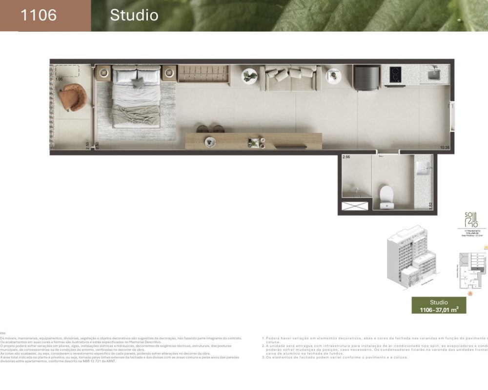 Planta-gago-coutinho-24