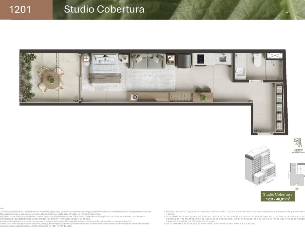 Planta-gago-coutinho-27