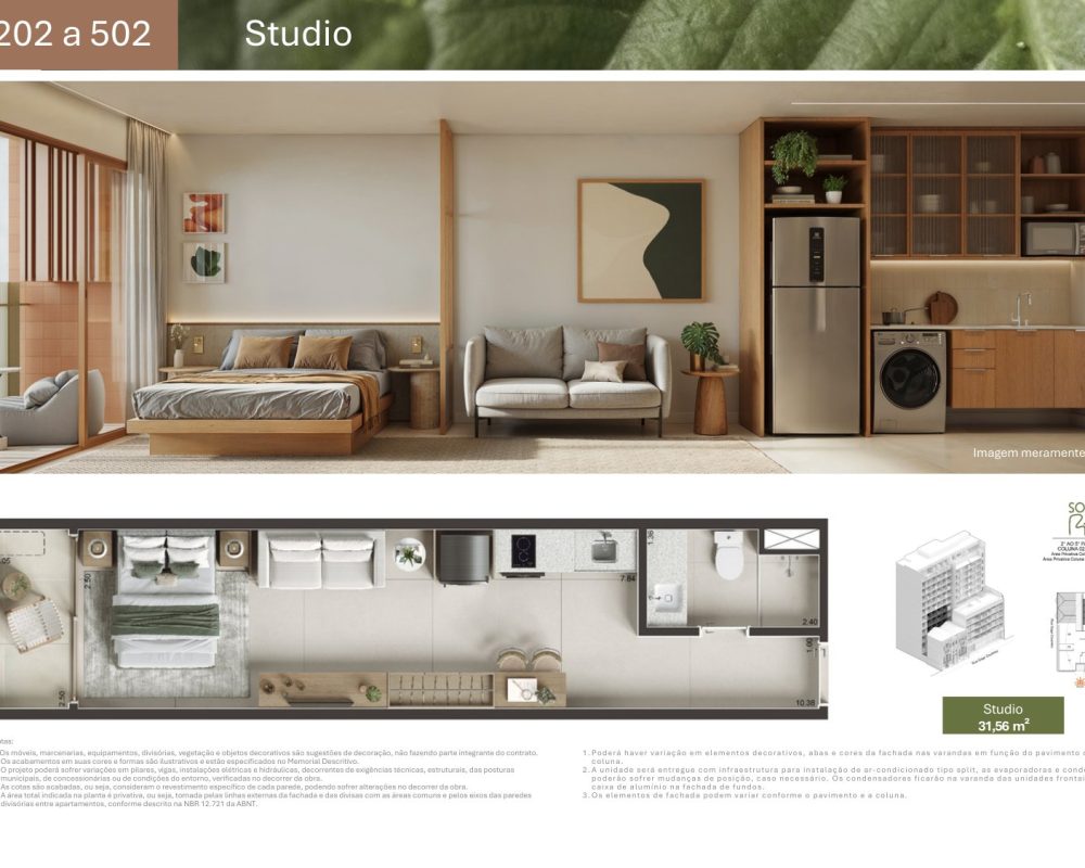 Planta-gago-coutinho-3