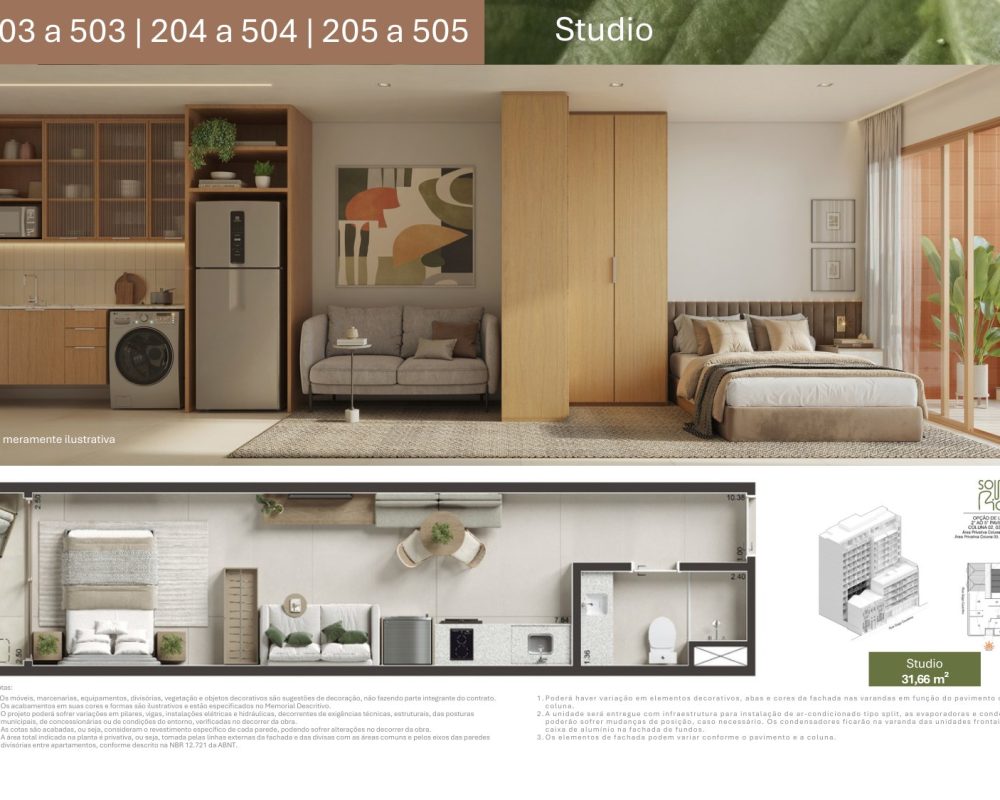 Planta-gago-coutinho-4