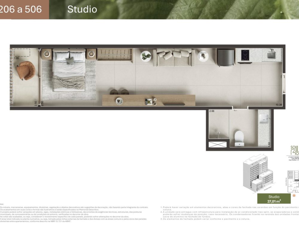 Planta-gago-coutinho-5