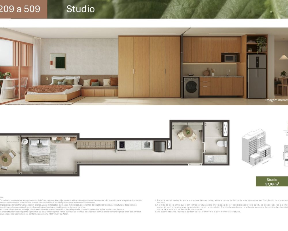 Planta-gago-coutinho-8