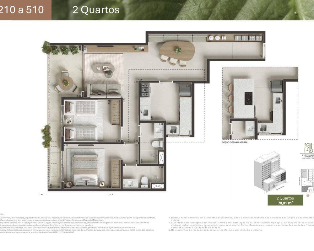 Planta-gago-coutinho-9