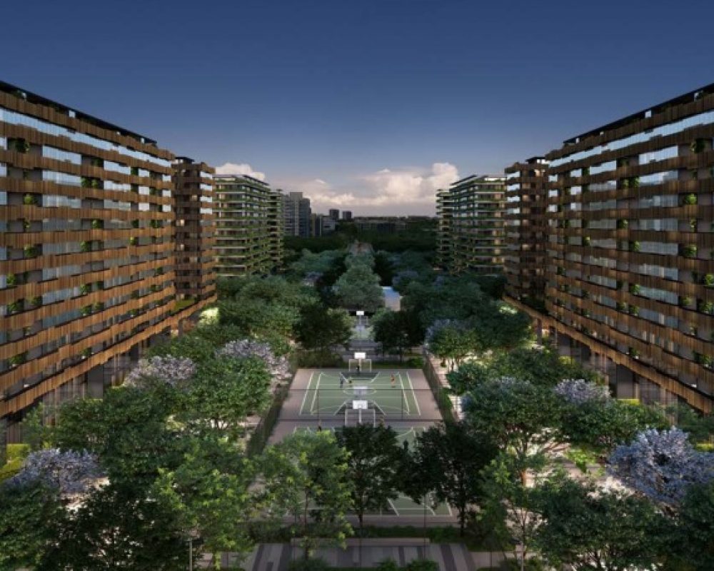 arte-wood-panoramica