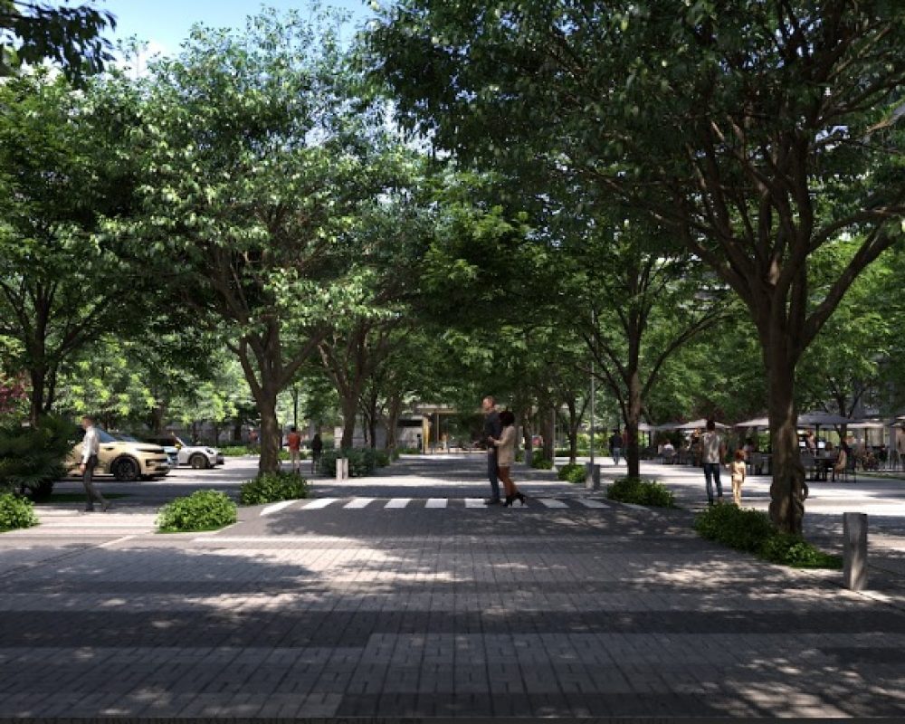 arte-wood-verde-arvores