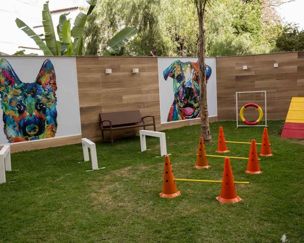 b3be81ba0c41332b2969a161bcdaa3d0_cropped_2021-08-23_17h52m19s