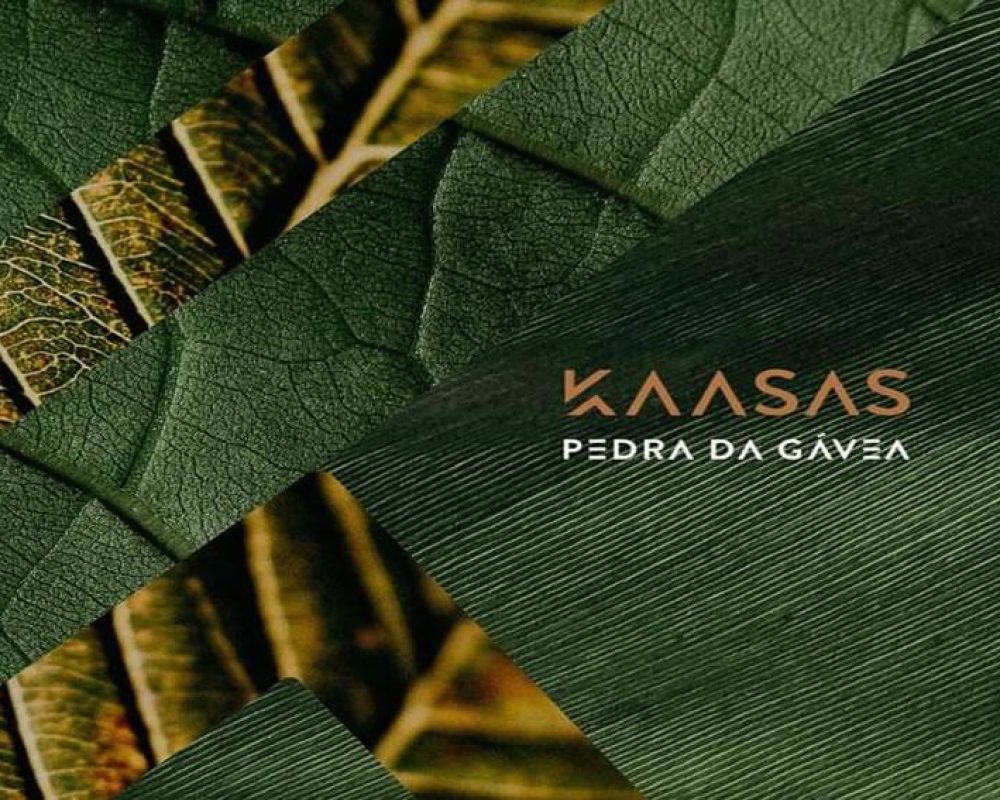 Kaasas Pedra da Gávea Barra da Tijuca