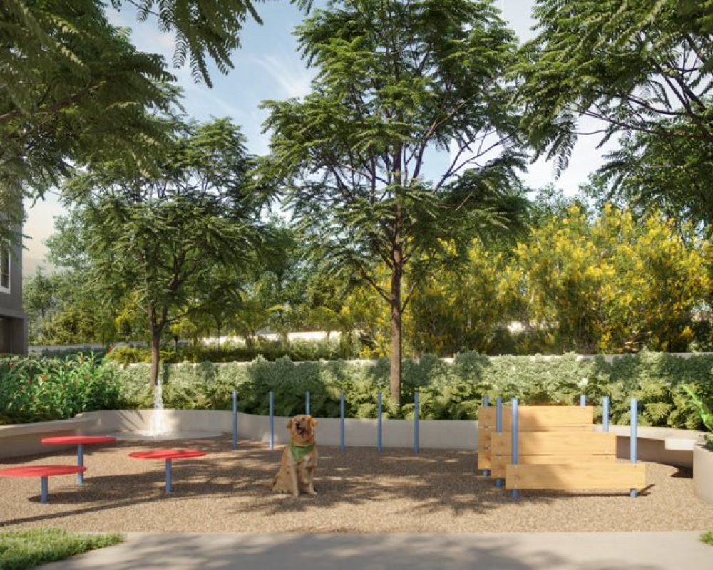 dae87e22-d040-44ef-a7c2-c1202272e577