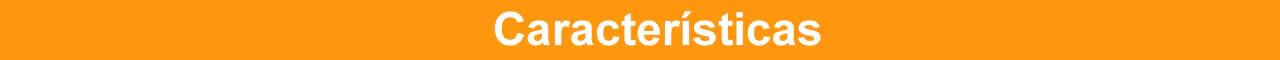 Caracteristicas 