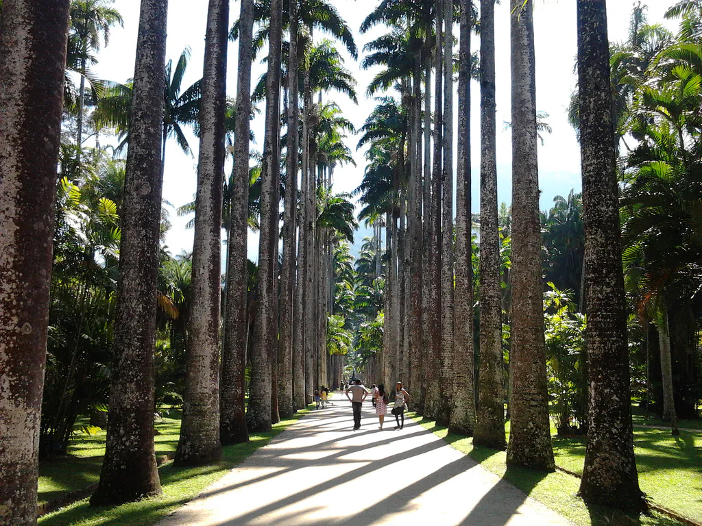 Jardim Botânico Rio de Janeiro 