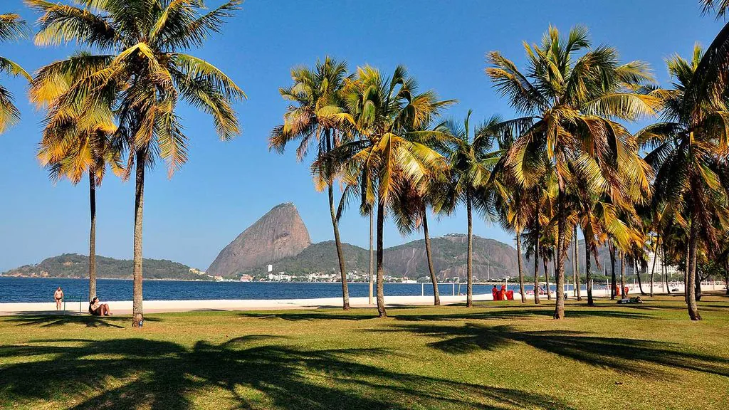 palmeiras flamengo rio de janeiro